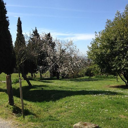 Bed and Breakfast Ecuries Sainte Croix Carcassonne Esterno foto